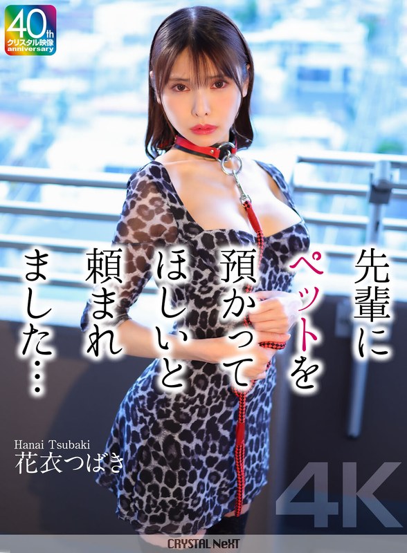[無料閲覧] [フル・エロ動画紹介]【4K】先輩にペットを預かってほしいと頼まれました… 花衣つばきcrnx00254